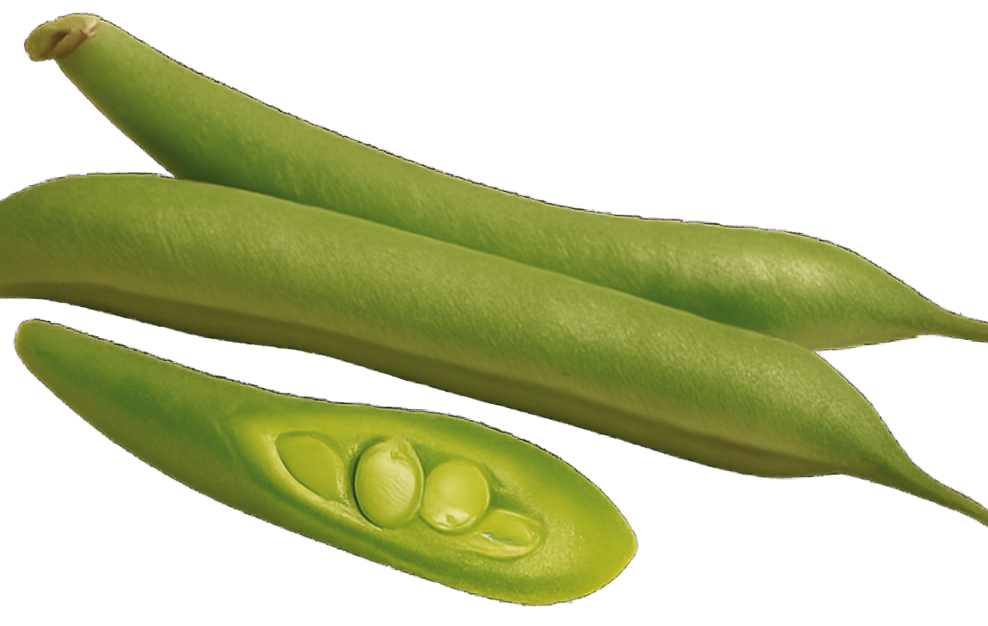 Green Beans