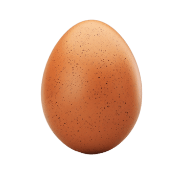 Egg