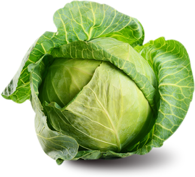 Green cabbage