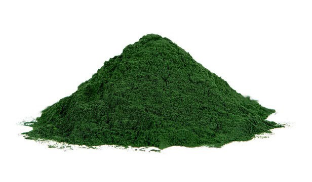 Kelp