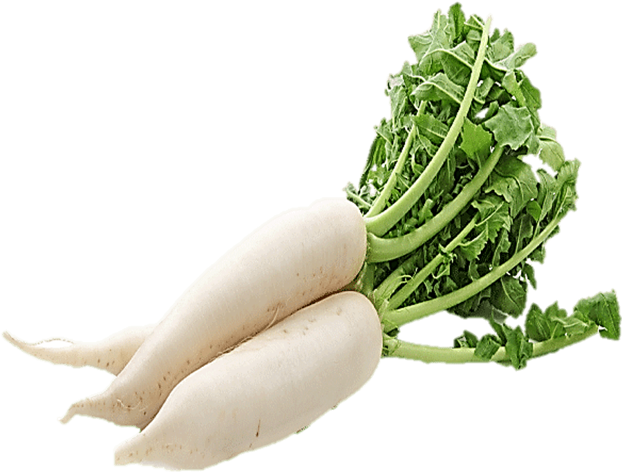 White radish